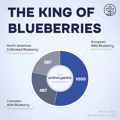 Wild Blueberry Powder Organic 5 Ounce Bag USDA Certified & 3rd Party Lab Tested - Antioxidant Rich Smoothies Freeze Dried Blueberries Organic Blueberry Extract for Baking From Whole Dried Blueberries
