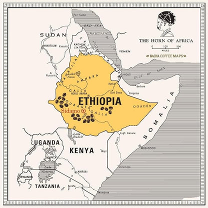 Bacha Coffee | Sidamo Mountain Ethiopia Single Origin, Medium Dark Roast, 100% Arabica Specialty Coffee, 12 Coffee Drip Bags, Gift Box