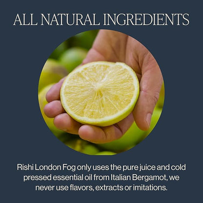 Rishi Tea London Fog Latte - Organic Black Tea Concentrate with Bergamot, Easy-to-Serve Hot or Iced Earl Grey Mix - 32 fl oz Carton, 8 Servings (Pack of 12)