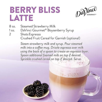 DaVinci Gourmet Boysenberry Syrup, 25.4 Fluid Ounce (Pack of 5)