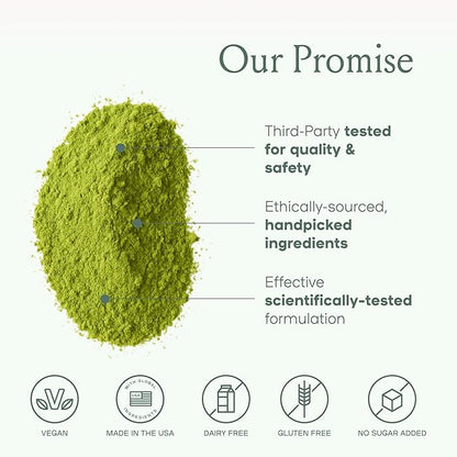 SPACE AND TIME Create - Mushroom Matcha Tea - 20 Cups of Creativity, Energy & Enhanced Mood - Organic Matcha Powder with Lions Mane, L-Theanine & Saffron