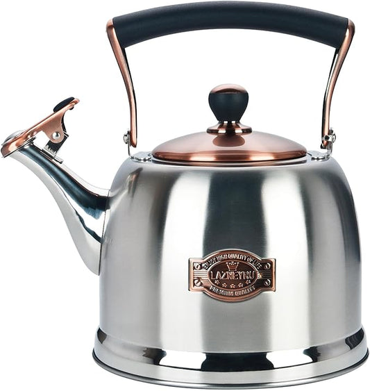 Tea Kettle Stainless Steel Teapot, Stainless Steel Teakettle for Stove Top with Heat Proof Ergonomic Handle 3.0 Quart