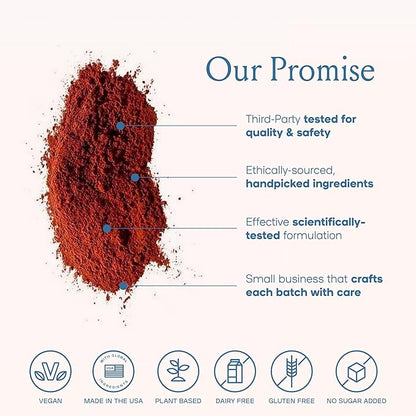 SPACE AND TIME Focus - Mushroom Coffee - 20 Cups of Focus, Productivity & Clean Energy - Instant Mushroom Coffee with Lions Mane, Cordyceps & L-Theanine