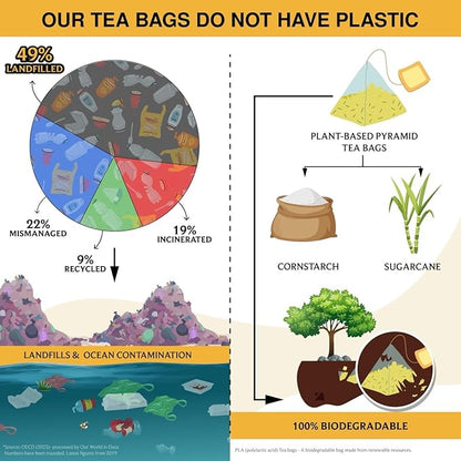BREWIX, Turmeric Ginger Herbal Tea Bags (20 Pyramid Tea Bags) Real Ingredients From India, Naturally Caffeine Free | Pure Herbal Blend | Packed in Resealable Ziplock Pouch
