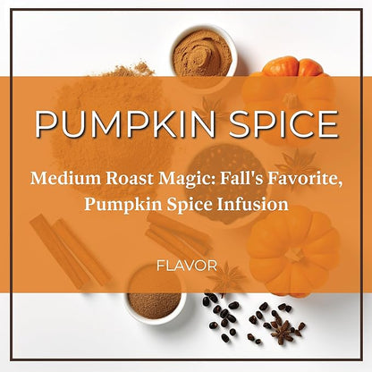 San Diego Coffee Pumpkin Spice, Medium Roast, Whole Bean Coffee, 16-Ounce Bags (Pack of 2) Café en grano tostado