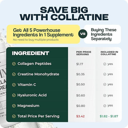 Collatine - Premium Collagen Peptides + Creatine with Vitamin C, Hyaluronic Acid and Magnesium for Skin, Hair, Nails, Bone & Joint, Muscle, Immune and Cognitive Aid (1.1 LB (500 G/17.6 OZ)