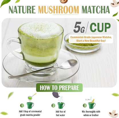 Mushroom Matcha Powder, Japanese Ceremonial Matcha Infused With 7 Superfood Mushrooms, MCT Oil, Coconut Milk Powder, Natural, Gluten Free, Taste Great Matcha Latter 8 Oz(45 Servings)