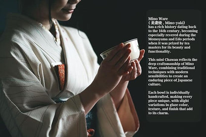 Japanese Traditional Handcrafted Mino Matcha Chawan Tea Bowl Cup Ceremony Tableware Pottery (Harugasumi)
