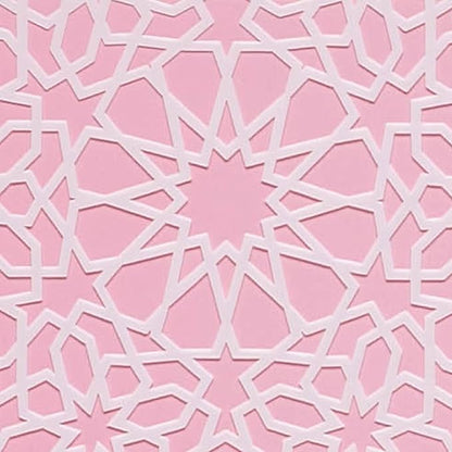 Cake Stencil for Buttercream Cake, Royal Icing, Ganache, Painting, Art and Crafts (IMANE)