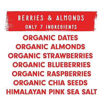 JONESBAR Organic Plant Based Protein Bars | Berries and Almonds | Fruit & Nut Bar, Kosher, Gluten Free, Breakfast Bars, School Snacks, Vegan Snack & Healthy Snacks for Adults and Kids (Pack of 12)