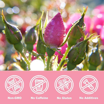 Olvvla - Dried Rose Bud For Fragrant Herbal Tea - 3.52oz/100g - Delicate Sweet and Refreshing - Natural Pink Rosebud Flower for Tisane, Decorative Desserts