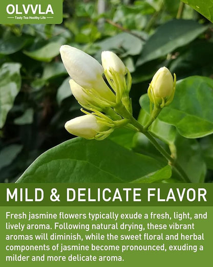 Olvvla - Dried Jasmine Flowers - 3oz/85g - 100% Natural Jasmine Tea Edible Flowers - Pure Jasmine Buds Loose Leaf Herbs - Non-GMO - Natural Fragrance