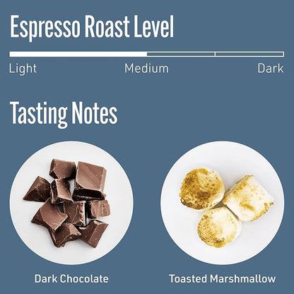 Intelligentsia Coffee, Medium Roast Whole Bean Coffee - Black Cat Analog Espresso 36 Ounces (3 Bags of 12 Ounces)