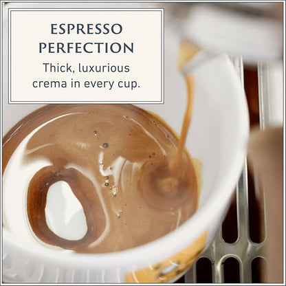 Filicori Zecchini Italian Espresso Beans – Whole Bean Coffee Medium Roast Arabica & Robusta Blend – Low Acidity, Slow Roasted – Delicato 2.2lb Bag