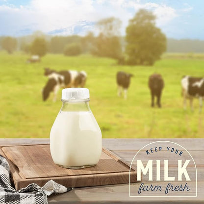 kitchentoolz 16 Oz Glass Milk Bottle with Lid - 16 Ounce Short and Wide Glass Milk Container for Refrigerator with Tamper Proof Lid and Pour Spout - Pack of 2
