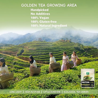 TIAN HU SHAN Matcha Green Tea Powder 3.5oz/100g, Pure Matcha Powder Culinary Grade Unsweetened for Lattes, Cooking, Baking, Vegan 100% Natural （Package May Vary)