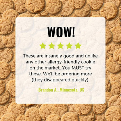 Every Body Eat Crunchy Cookie Bites, Gluten & Dairy Free, Vegan, School Safe Lunch Snacks, Single Serve (Pack of 20) (Ginger Cinnamon)