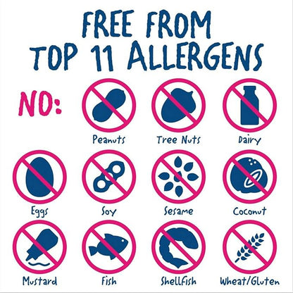 Rule Breaker Vegan & Gluten-Free Cookies | Birthday Cake Bites | Plant-Based, Dairy, Nut, Soy, Allergen Free, Kosher | Soft-Baked School Snacks for Kids and Adults (Pack of 12)
