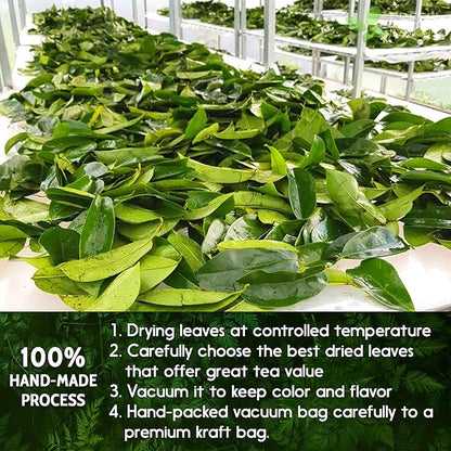 40 Premium Soursop Graviola Leaf Tea Bags, 100% Natural and Pure from Soursop Leaves, Handmade, Made With Natural Materials-Corn Fiber Tea Bag, Sugar/Caffeine/Gluten Free, Hoja Guanabana Tea
