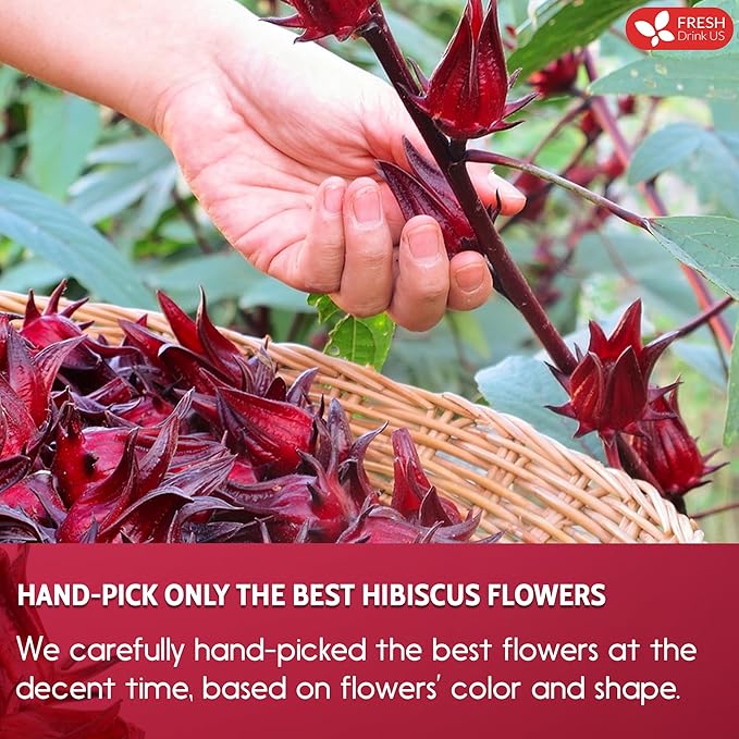 FreshDrinkUS, Premium 115 Hibiscus Flowers Tea Bags, 100% Natural & Pure. Loose Flower Hibiscus Herbal Tea. No Sugar, No Caffeine, No Gluten, Vegan.