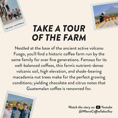 Angelino's Coffee Breakfast Blend Coffee, 12oz Ground, Medium Roast Reserve, Guatemalan Guatemala Coffee with Chocolate Notes, Hints of Caramel and Citrus, Premium Experience - Breakfast in Antigua