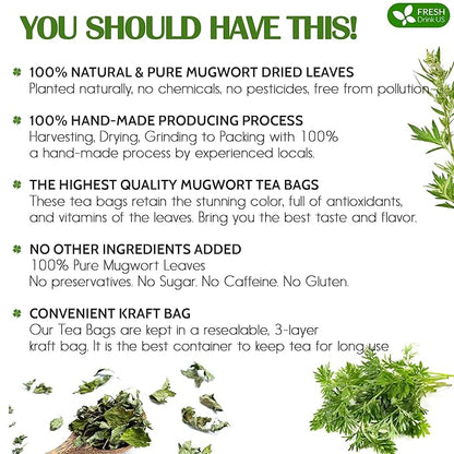 FreshDrinkUS, Premium 60 Mugwort Leaf Tea Bags, 100% Natural and Pure Mugwort Leaves. Loose Leaf Mugwort Herbal Tea. Mugwort Leaf Tea. No Sugar, No Caffeine, No Gluten, Vegan.