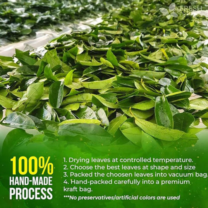 FreshDrinkUS, 120+ Premium Soursop Graviola Dried Leaves Tea, 40 Cups, 120-130 Natural Leaves, Whole Leaves, Wildcrafted, Graviola, Hoja Guanabana, Soursop Loose Leaf Herbal Tea, No Gluten, Vegan