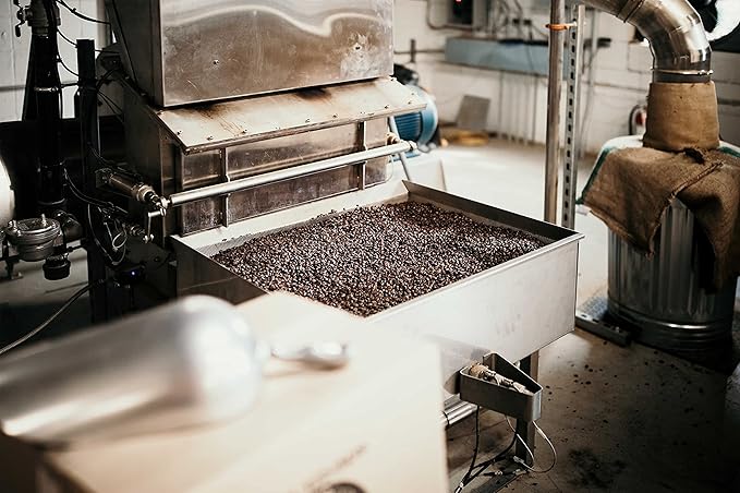 Panama Boquete Coffee Beans (5 LBS), Medium/Dark Roast, Good As Gold Coffee Roasters