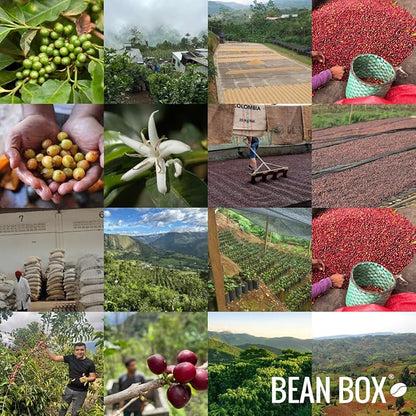 The Village - Roasted by Joe Coffee Company - Whole Bean Coffee - 6 Ounce Bag
