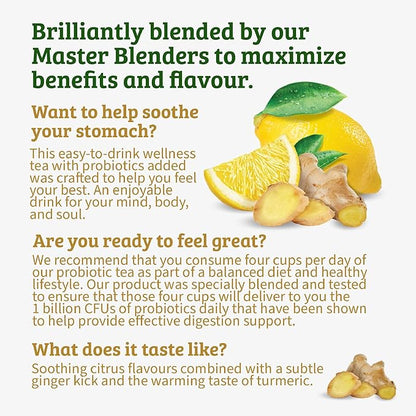 Twinings Probiotics+ Lemon & Ginger Herbal Tea K-Cup Pods for Keurig, 24 Count (Pack of 1), Supports Digestive Health, Naturally Caffeine-Free, Enjoy Hot or Iced