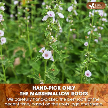 FreshDrinkUS, Premium 75 Marshmallow Root Tea Bags, 100% Natural & Pure from Marshmallow Root, Eco-Conscious Tea Bags, Herbal Tea. No Sugar, No Caffeine, No Gluten, Vegan.