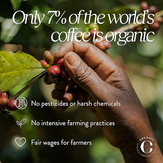 Cru Kafe Colombian USDA Organic Espresso Coffee Capsules (10 Pods) Fairtrade Coffee Pods Compatible with Nespresso Original Line and Pixie Machines