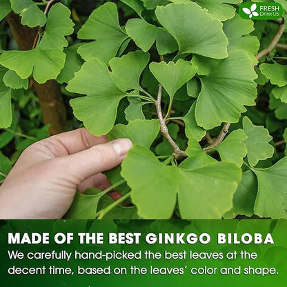 FreshDrinkUS, Premium 135 Ginkgo Biloba Leaf Tea Bags, 100% Natural & Pure from Ginkgo Biloba Leaves. Loose Leaf Herbal Tea. Made with Eco-Conscious Tea Bags. No Sugar, No Caffeine, No Gluten, Vegan.
