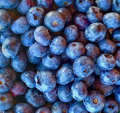 Tree Juice Blueberry Maple Syrup | 100% Pure Grade A Maple Syrup | All Natural, Non GMO, Vegan, Gluten Free, Vegetarian, Paleo | 12 Ounce Bottle