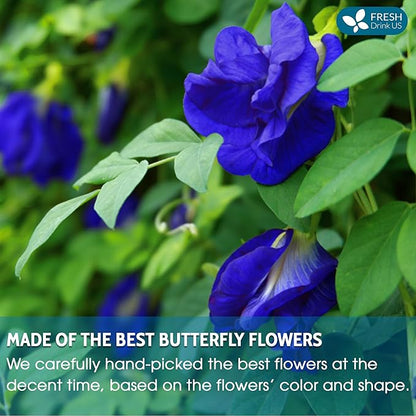 FreshDrinkUS, Premium 8oz Blue Butterfly Pea Flowers Dried – Premium Whole Flower Herbal Tea – Vibrant Blue Natural Color – Caffeine-Free Loose Flower Tea. Vegan