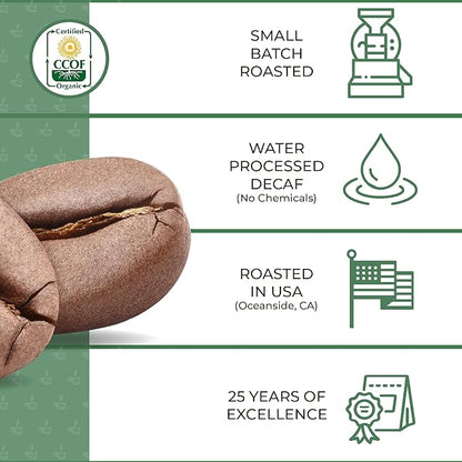 The Bean Organic Coffee Company Water Processed DECAF IL Chicco (Traditional Italian Roast), Dark Roast, Ground Coffee, 16-Ounce Bag, Café Molido Tostado Orgánico descafeinado