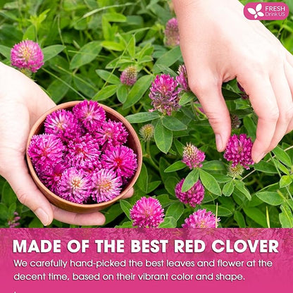 FreshDrinkUS, Premium Red Clover Herbal Tea– 35 Tea Bags – Pure – Naturally Smooth & Mild Flavor – Premium Quality, Eco-Conscious Packaging. Caffeine-Free. Gluten Free. Vegan