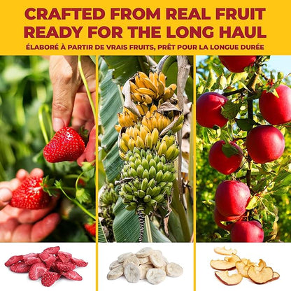 Zest Delites Freeze Dried Fruit Bulk Pack (9.54 Oz), Freeze Dried Strawberries, Bananas, Apple Chips, Healthy Dehydrated Fruit Crisps Variety Pack, No Sugar Added, No Additives, 0.53 Oz x 18 Packs