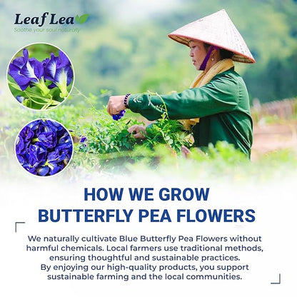 LeafLea 80 Butterfly Pea Flower Tea Bags, Natural Herbal Tea for Blue and Purple Drinks, Mocktails, and Food Coloring, Caffeine-Free, Sugar-Free, Non-GMO, Pack of 2
