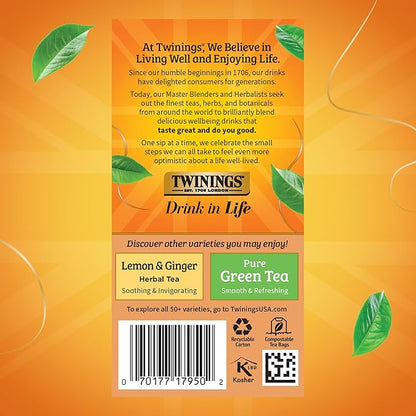 Twinings Orange & Cinnamon Spice Herbal Tea Individually Wrapped Bags, 20 Count (Pack of 1), Naturally Caffeine-Free, Enjoy Hot or Iced, 20 Teabags
