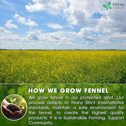 FreshDrinkUS, Premium 135 Fennel Tea Bags, 100% Natural & Pure from Fennel Seeds. Fennel Seed Herbal Tea. Fennel Seed Tea. Made with Natural Material Tea Bags. No Sugar, No Caffeine, No Gluten, Vegan.
