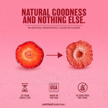 Freeze-Dried Strawberries – Premium Sliced | #10 Can | 25-Year Shelf Life | Emergency Food & Clean Snacking