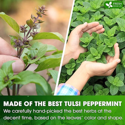 FreshDrinkUS, Premium Tulsi Peppermint Herbal – 30 Tea Bags, 100% Natural, Blend of Tulsi Holy Basil Leaves, and Peppermint Leaves. Made with Natural Material Tea Bags. No Sugar, Vegan.