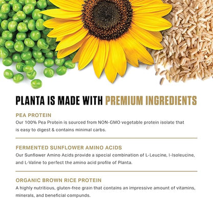 Ambrosia Planta - Premium Plant-Based Protein | Vegan & Keto Friendly | Gourmet Flavors with No Bloating or Stomach Upset | Gluten & Soy Free | No Added Sugar | 25 Servings | Cookies Cream