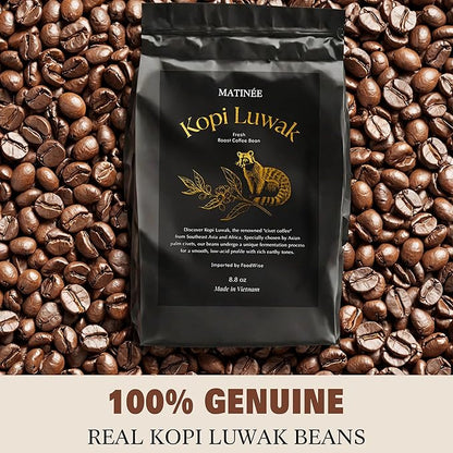 MATINÉE Wild Kopi Luwak Coffee Beans, Medium Roast, Whole Bean Beans, Civet Coffee - Sustainably Sourced From Vietnam, 8.8oz / 250 Grams