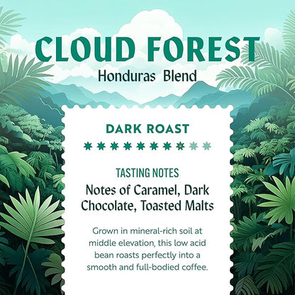 Clean Coffee Co. - Low Acid Dark Roast, Tested for Molds and Toxins, Honduras Blend, Notes of Caramel, Dark Chocolate, and Toasted Malts (Ground, 12 oz Bag) (Pack of 2)
