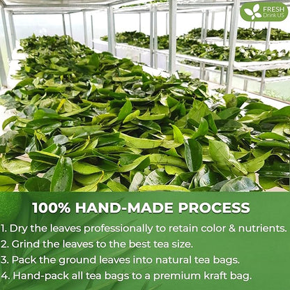 FreshDrinkUS, 150 Premium Soursop Graviola Leaf Tea Bags, 100% Natural and Pure, Hand-made, Made With Natural Materials-Corn Fiber Tea Bag, Sugar/Caffeine/Gluten Free, Hoja Guanabana Tea