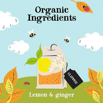 Clipper Tea Lemon & Ginger Teabags – Caffeine Free, USDA Organic, Great Hot or Iced – Aromatic, Natural, Fair & Delicious – 200 Tea Bags