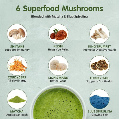 Mushroom Matcha, 6 Adaptogenic Mushrooms (Lion's Mane, Cordyceps, Turkey Tail & Other) Mixed with Ceremonial Grade Matcha for Focus, Energy, Immune and Digestion Health Support, 30 Servings
