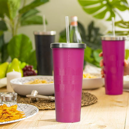 bzyoo SUP Vacuum Insulated Tumbler with Straw and Lid Stainless Steel Water Bottle Cold Drink Travel Mug Cup Gifts For Him & Her 24oz (710ml) Color: Scribe Purple